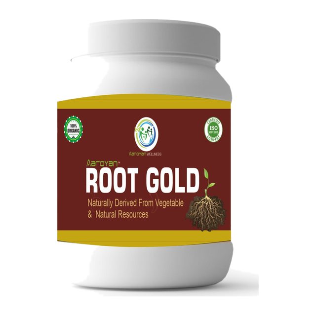 Aaroyan Root Gold